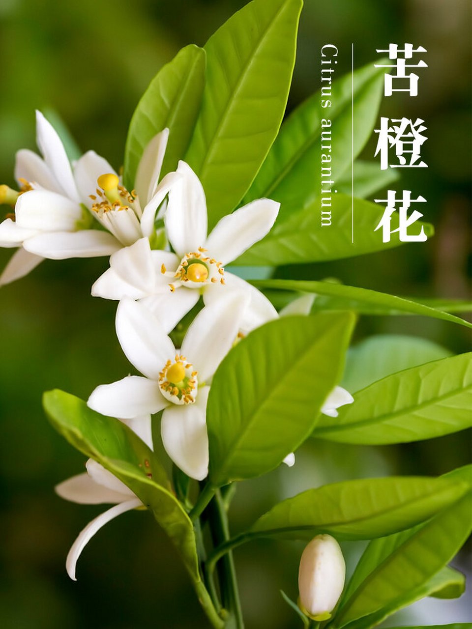 微信图片_20241216101445.jpg