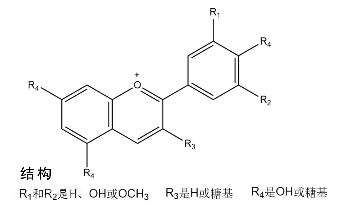 微信图片_20250219162357.jpg