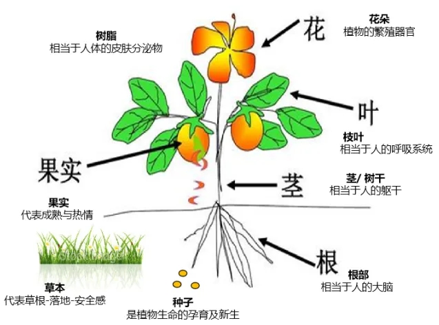 微信图片_20250515084733.jpg