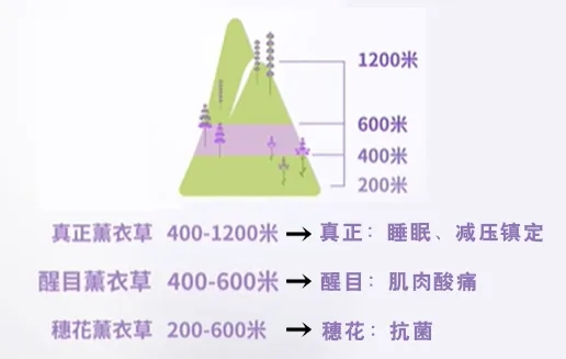 微信图片_20250515084746.jpg